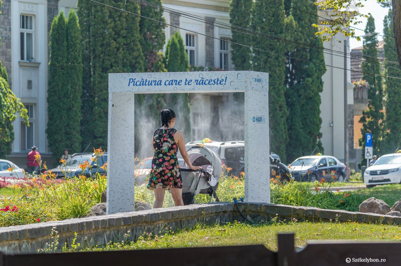 Párakapu Csíkszeredában. Cseppnyi felfrissülés •  Fotó: Pinti Attila