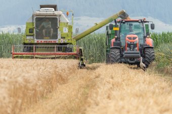 Mezőgazdaság: Románia a tíz legnagyobb termelő között az EU-ban