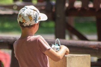 Előbb a Bánságba, majd az ország más régióiba is visszatér a hőség