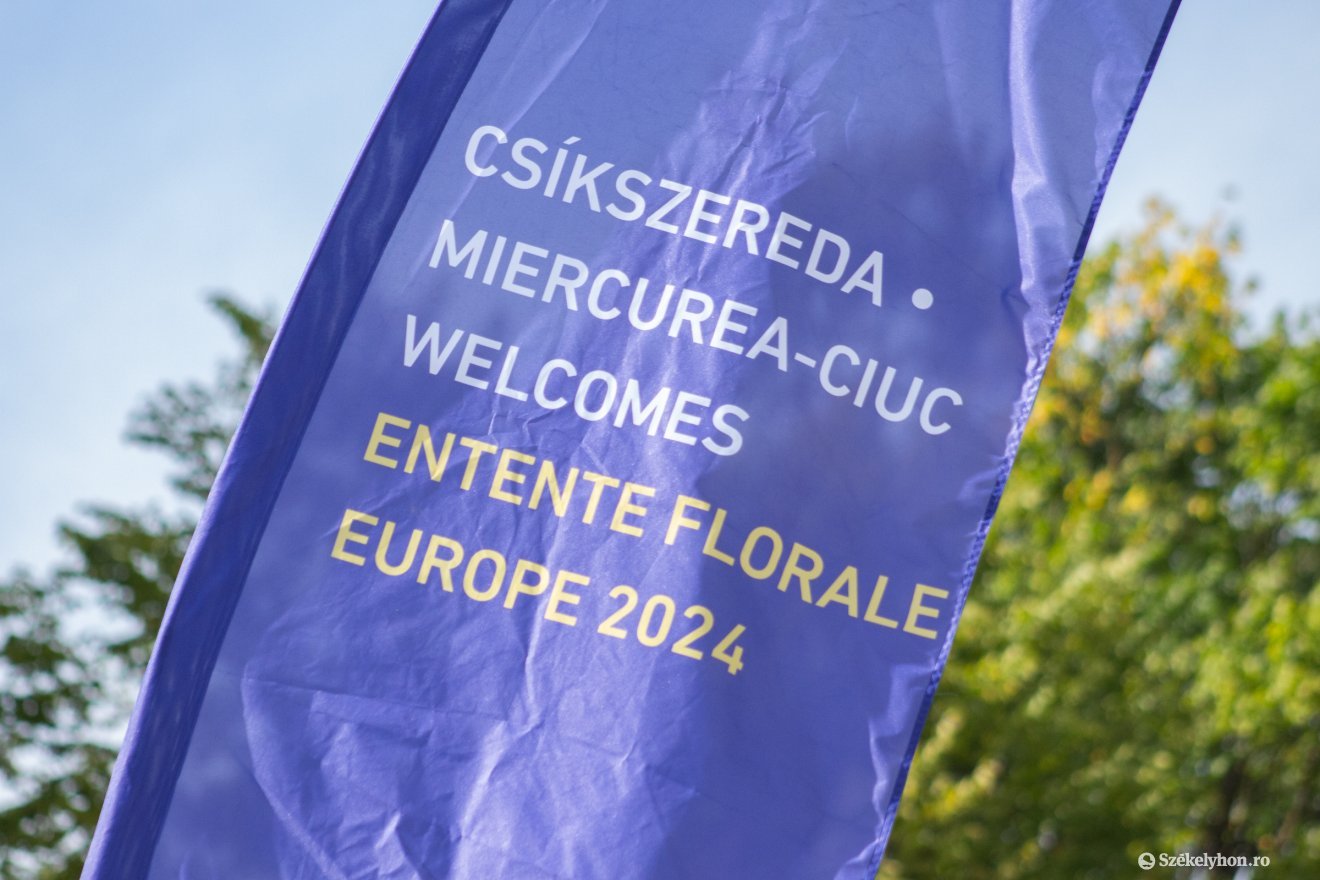 •  Fotó: Borbély Fanni