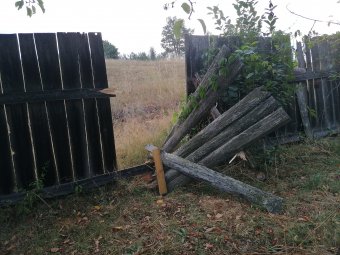 „A saját udvarunkon sem lehetünk biztonságban a medvétől”
