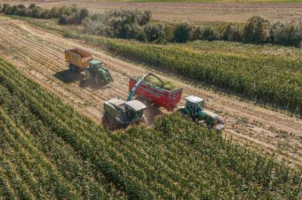 Segítség a mezőgazdaságban: kiterjesztik a Gazdahitel programot