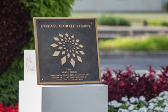 Ezüst fokozattal tüntették ki Csíkszeredát az Entente Florale kertészeti versenyen