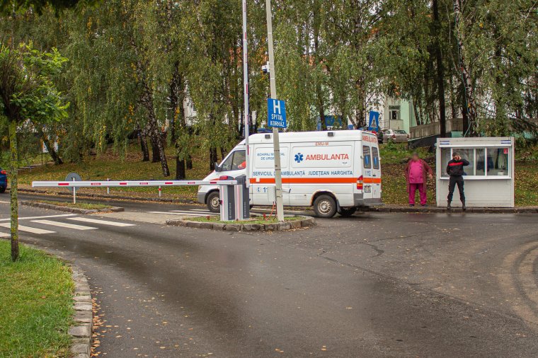 A beavatkozó csapat tagjaira támadt a medve a Kászonokban