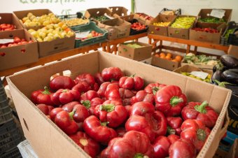 Kisvállalkozók mindennapi nehézségei