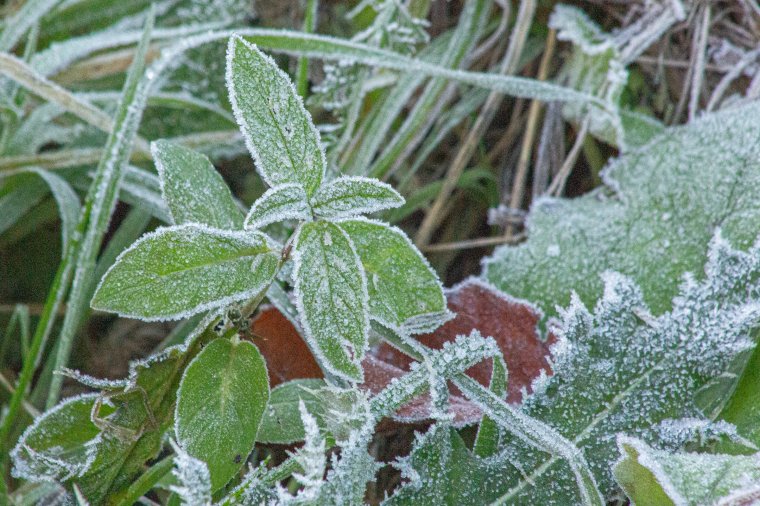 Mínusz 10 Celsius-fok alá süllyedt a hőmérséklet a Székelyföldön
