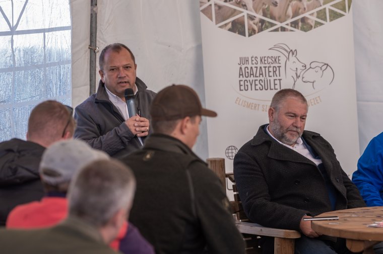 Van jövője a juhtenyésztésnek Székelyföldön