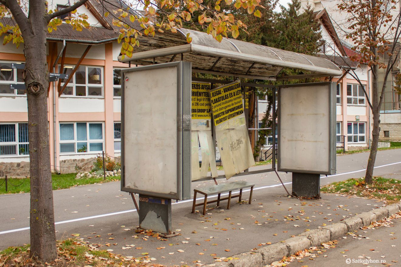 •  Fotó: Borbély Fanni