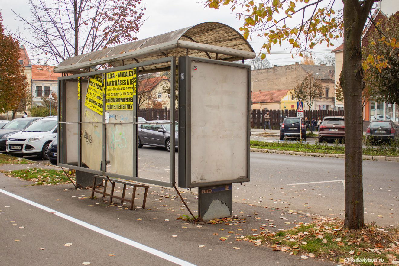 •  Fotó: Borbély Fanni