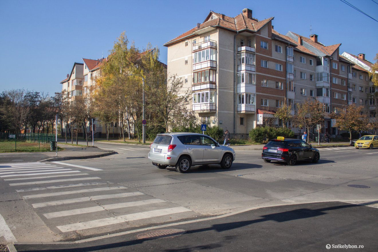 •  Fotó: Borbély Fanni