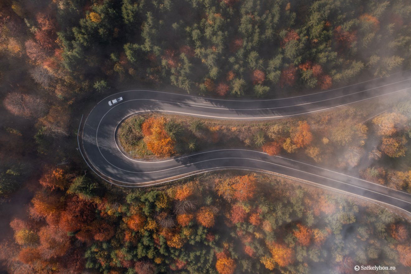 Ősz a Nyerges-tetőn október végén •  Fotó: Pinti Attila
