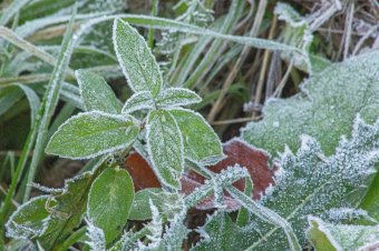 Mínusz 10 Celsius-fok alá süllyedt a hőmérséklet a Székelyföldön