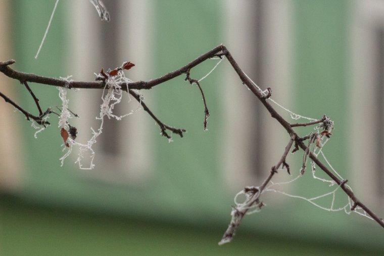 A levegő is megfagyott Székelyföldön, amikor napvilágra jöttek a választási eredmények