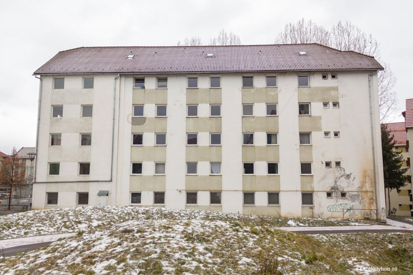 •  Fotó: Borbély Fanni