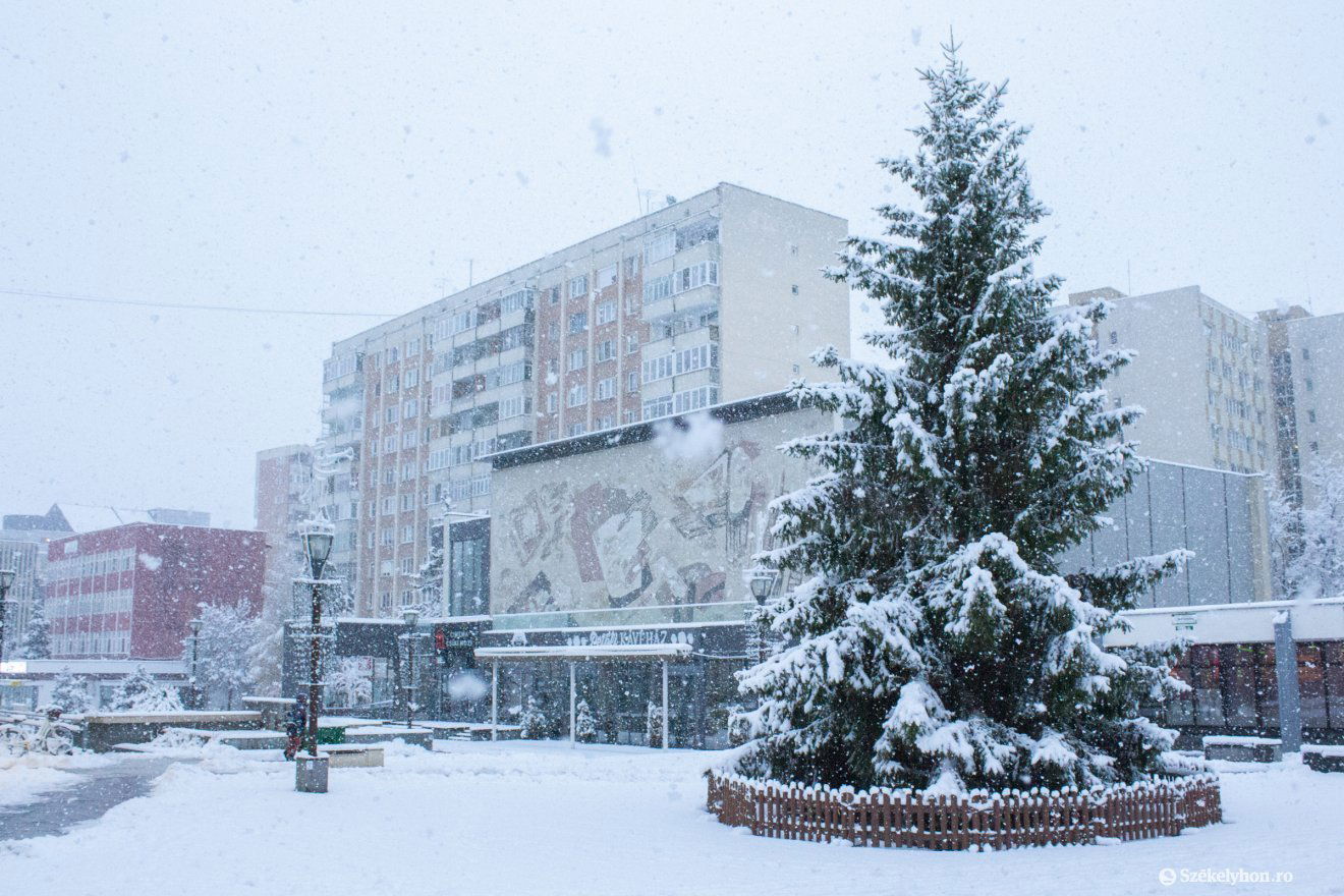 •  Fotó: Borbély Fanni