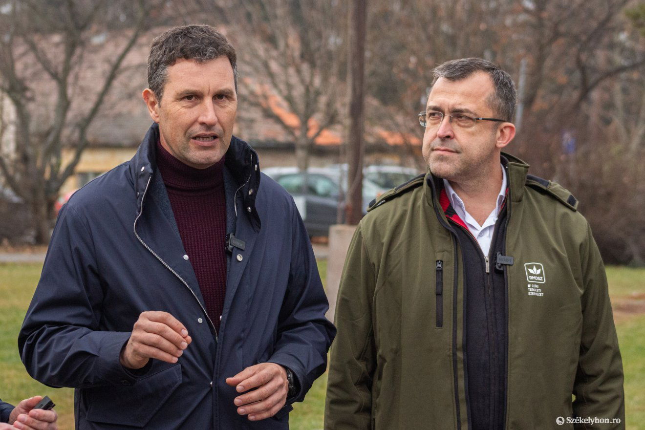 szavazás, vasárnap, december elseje