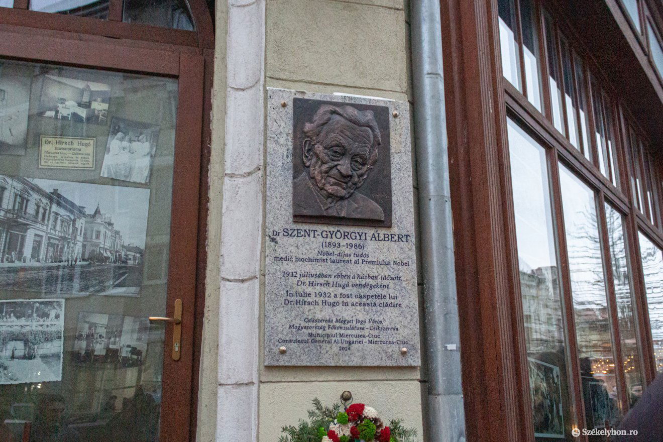 plakett, Csíkszereda, Hirsch, szent-Györgyi