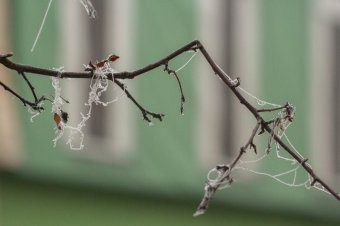 A levegő is megfagyott Székelyföldön, amikor napvilágra jöttek a választási eredmények