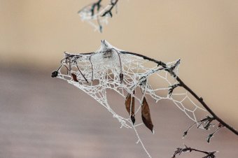 Helyreállt a világ rendje: Csíkban volt a leghidegebb az egész országban