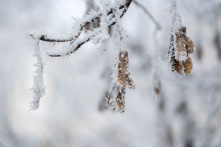 Lehűlés és fagy várható Székelyföldön – viharos szél és havazás az ország több régiójában