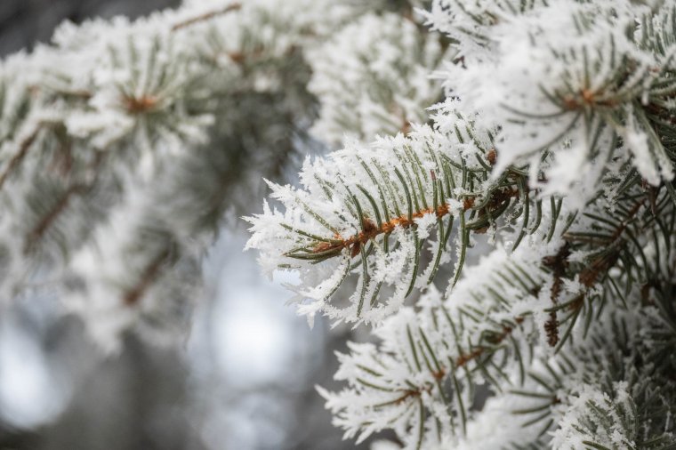 Fagyosan indult 2026