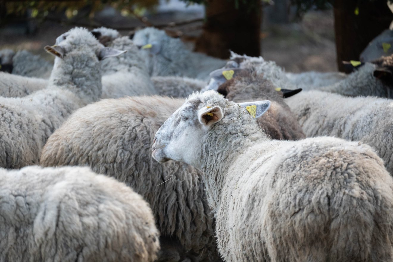 Képünk illusztráció &bullet;  Fotó: Borbély Fanni
