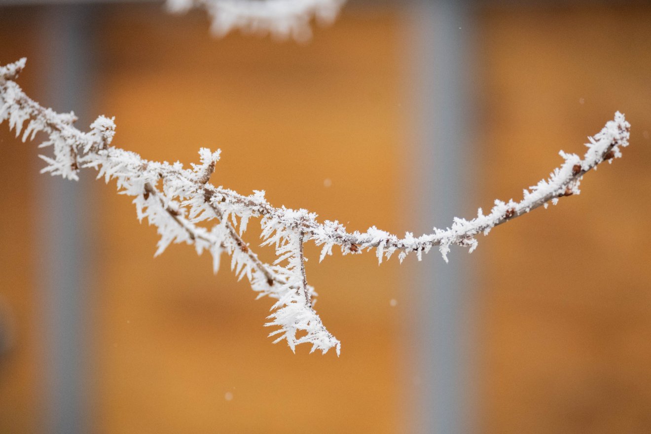 Kilóg a sorból &bullet;  Fotó: Borbély Fanni