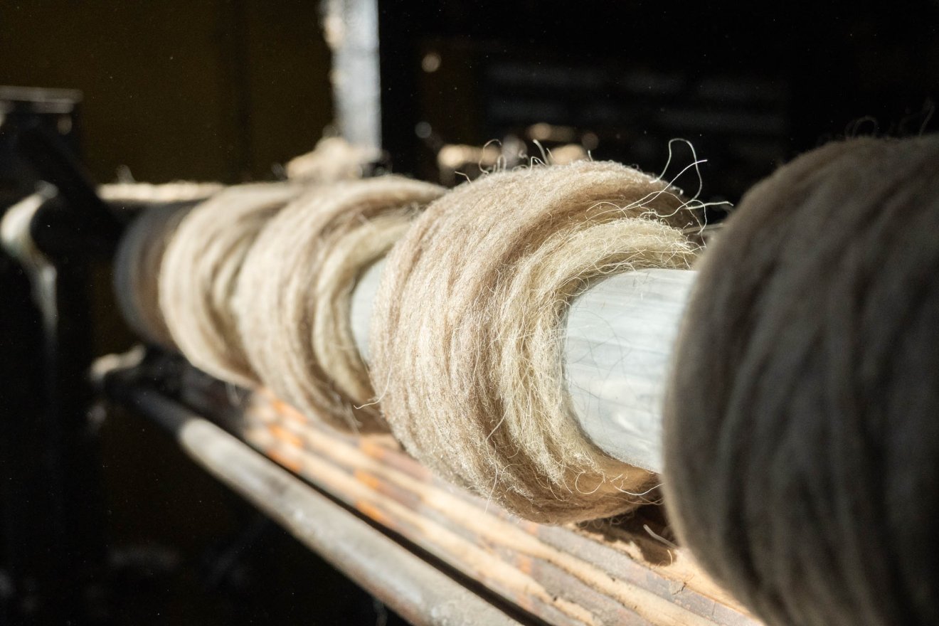 •  Fotó: Borbély Fanni