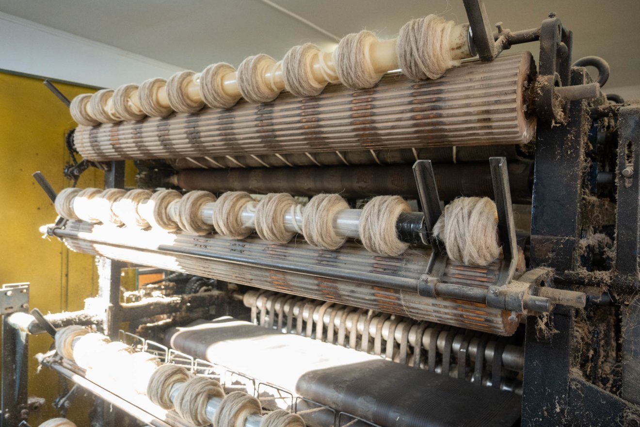 •  Fotó: Borbély Fanni