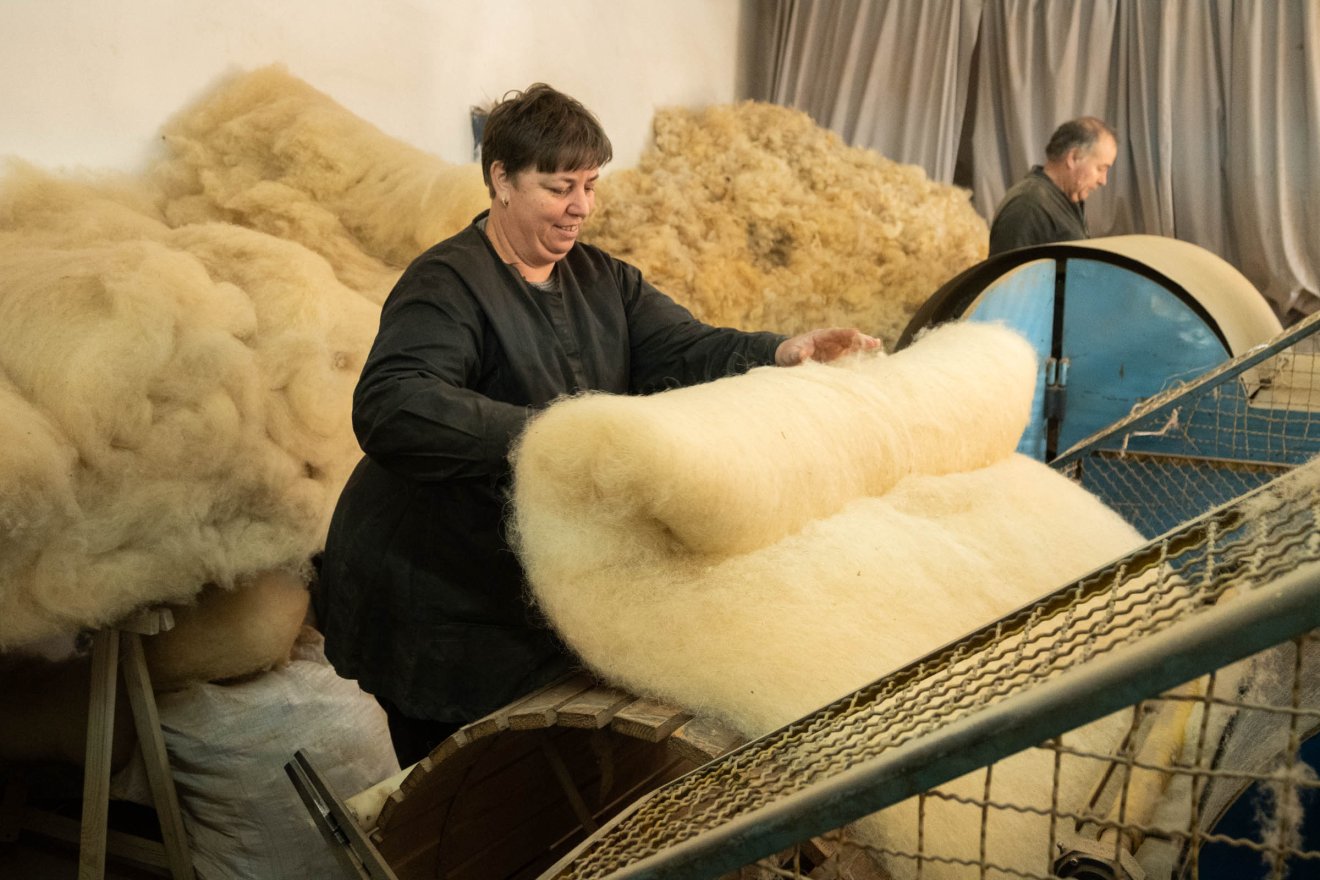A karcfalvi manufaktúrában havonta 500 kilogramm gyapjút dolgoznak fel. Értéket mentenek •  Fotó: Borbély Fanni
