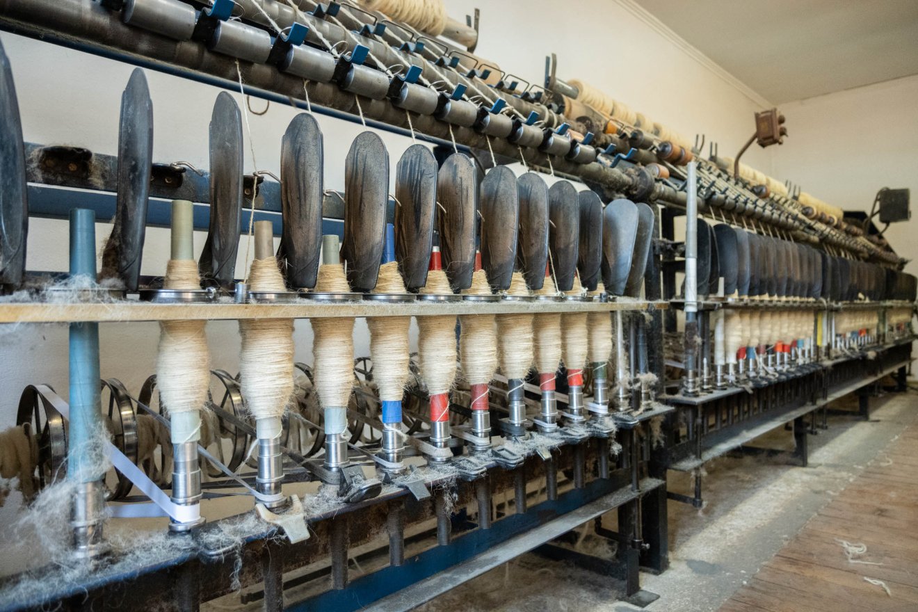 •  Fotó: Borbély Fanni