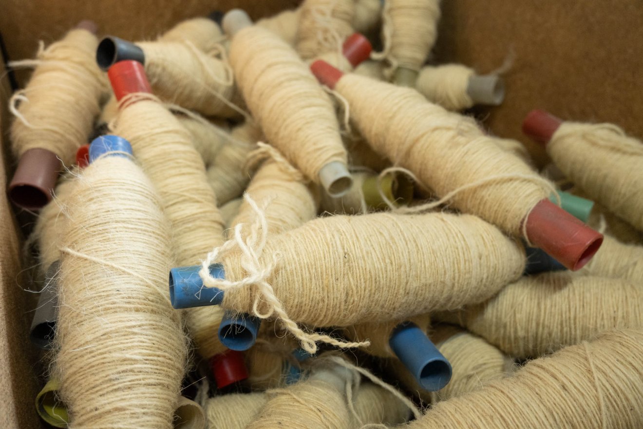 •  Fotó: Borbély Fanni