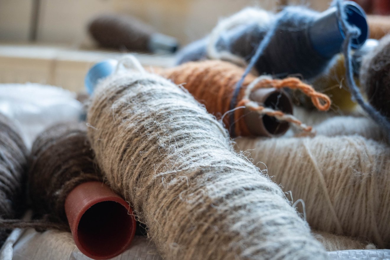 •  Fotó: Borbély Fanni