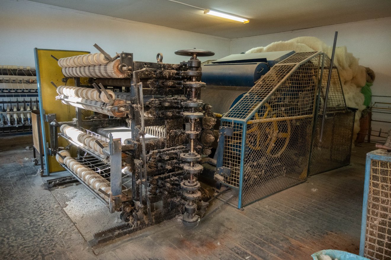 •  Fotó: Borbély Fanni