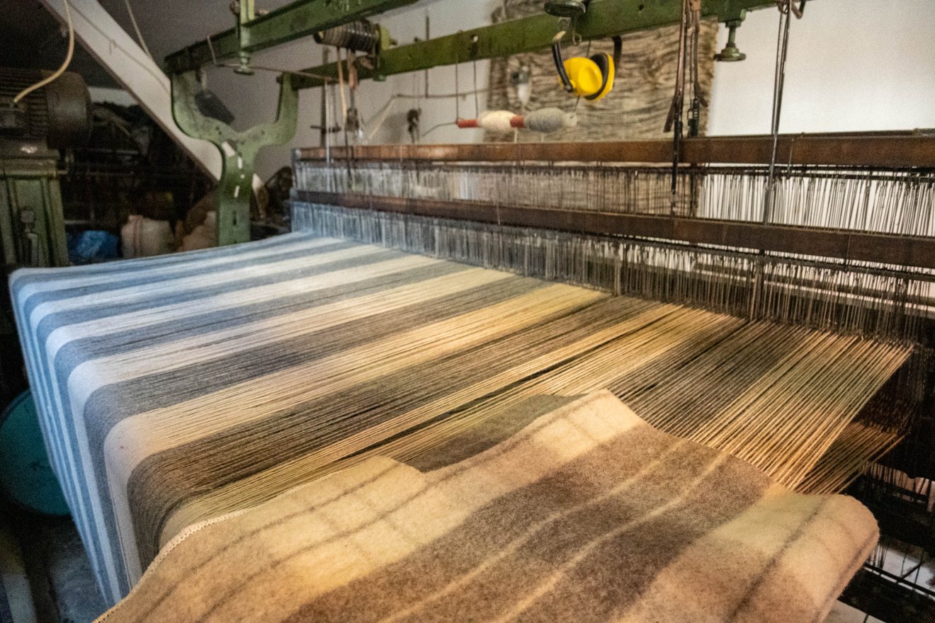 •  Fotó: Borbély Fanni