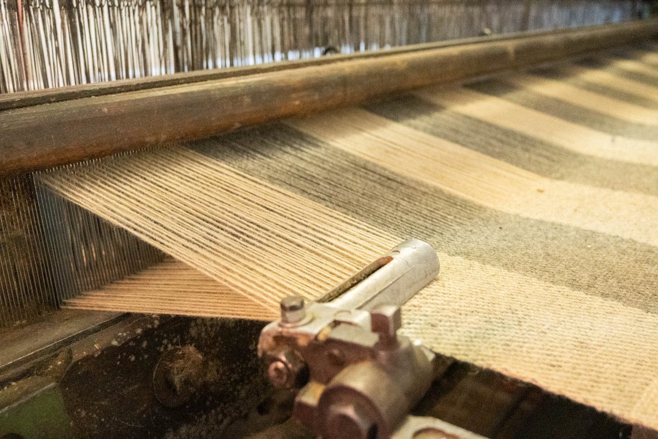 •  Fotó: Borbély Fanni