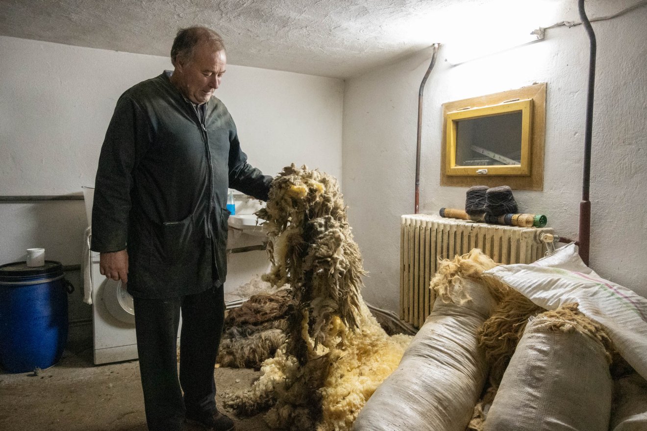 A nyers gyapjú •  Fotó: Borbély Fanni