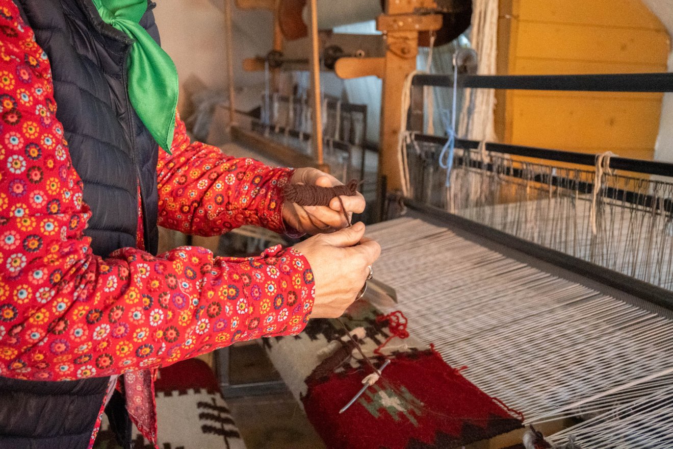 •  Fotó: Borbély Fanni