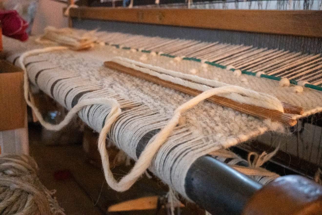 •  Fotó: Borbély Fanni