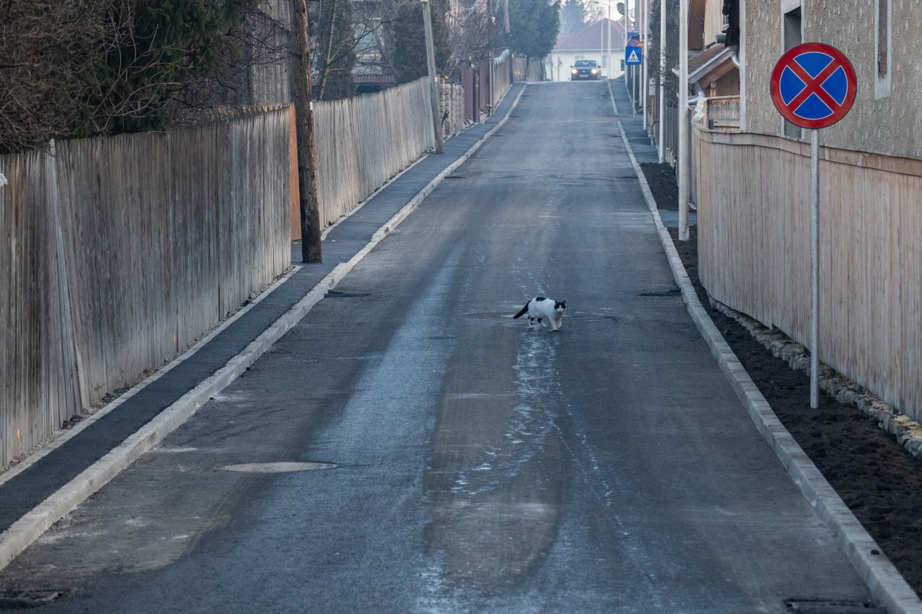 &bullet;  Fotó: Borbély Fanni
