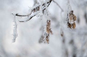 Lehűlés és fagy várható Székelyföldön – viharos szél és havazás az ország több régiójában