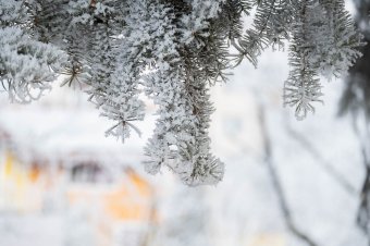 Mínusz 14 fok alá esett a hőmérséklet az év második napján