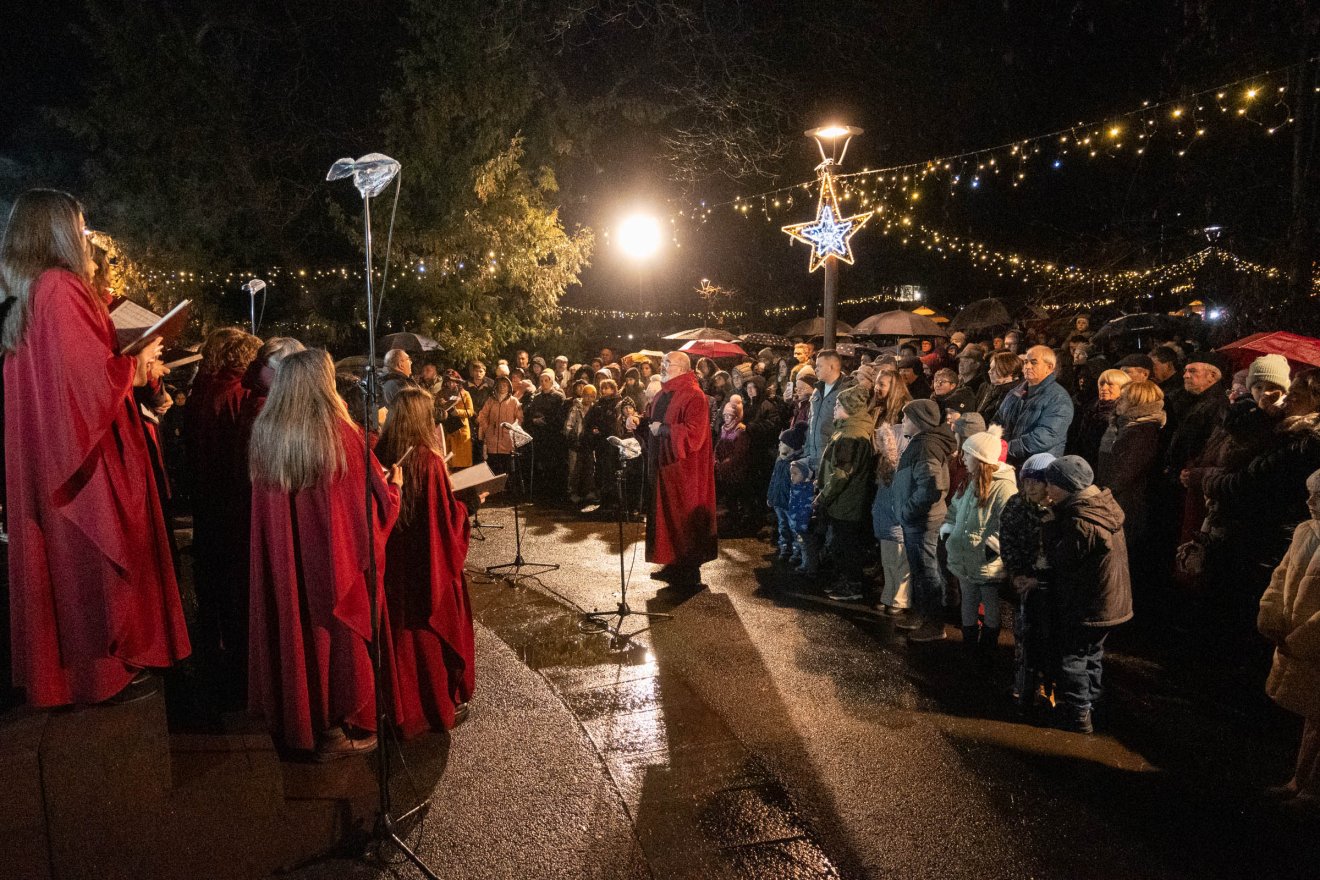 •  Fotó: Borbély Fanni