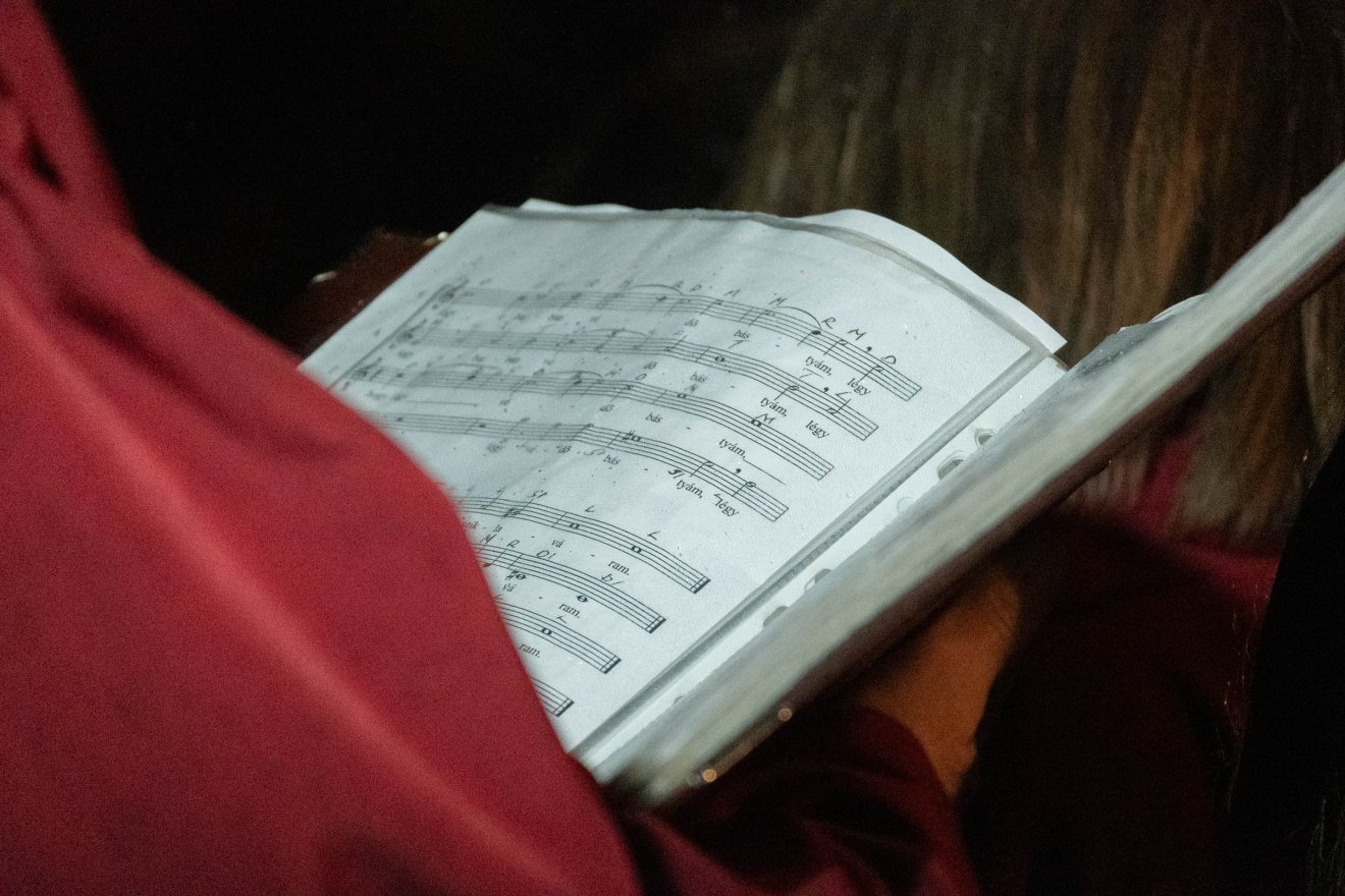 •  Fotó: Borbély Fanni