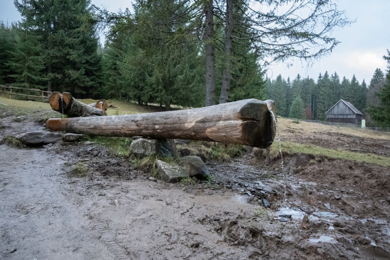 •  Fotó: Borbély Fanni