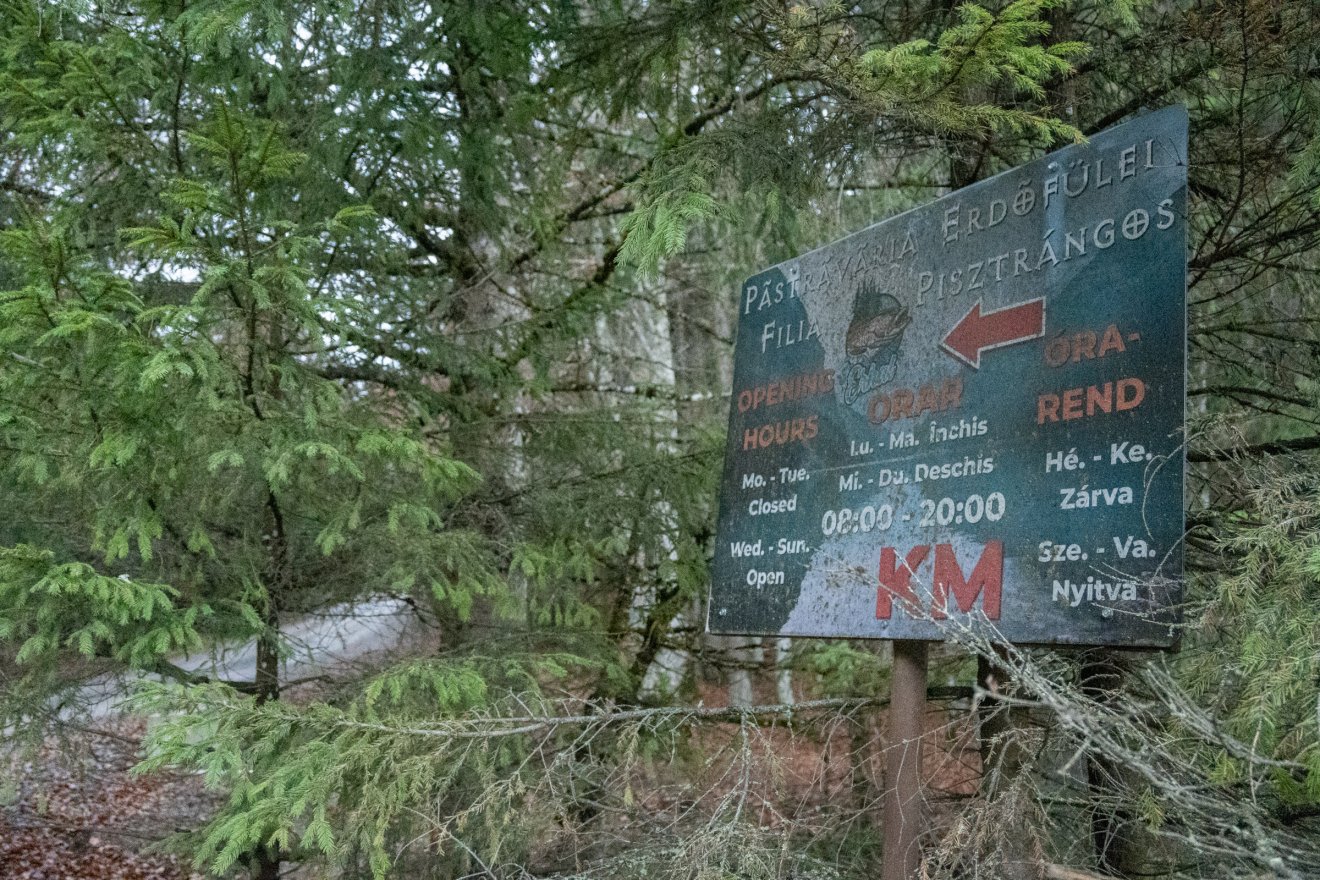 •  Fotó: Borbély Fanni