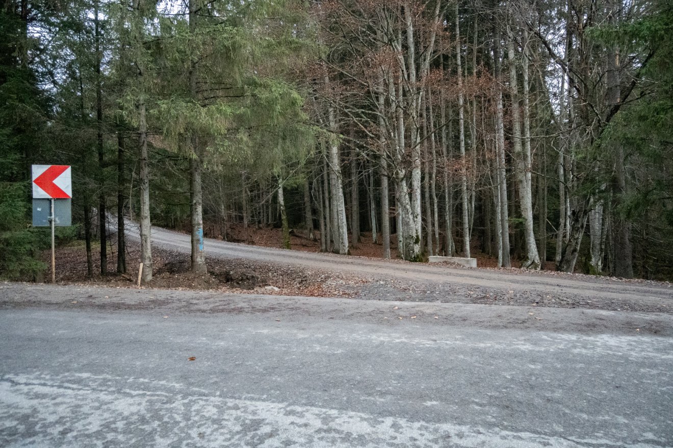 •  Fotó: Borbély Fanni