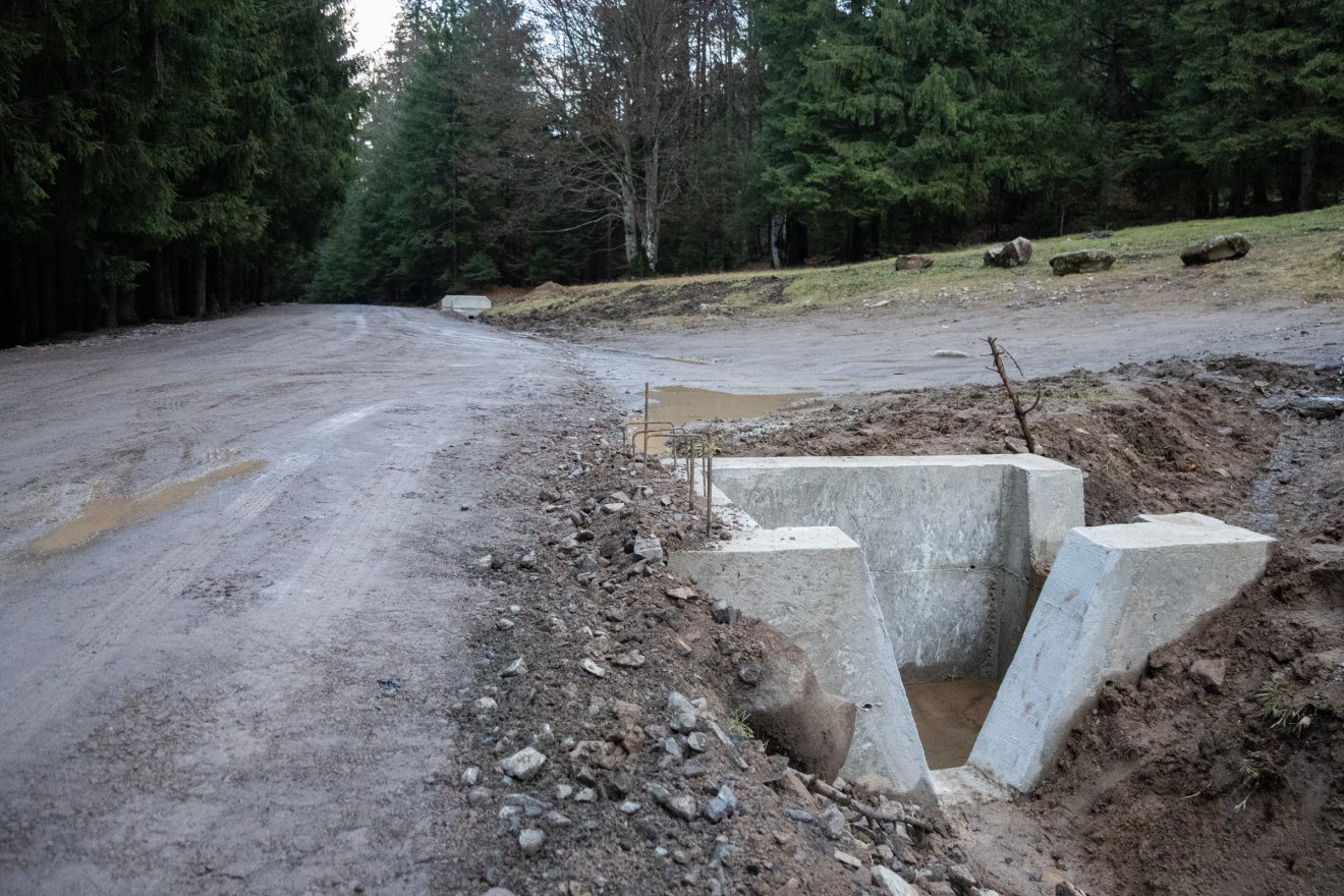 •  Fotó: Borbély Fanni