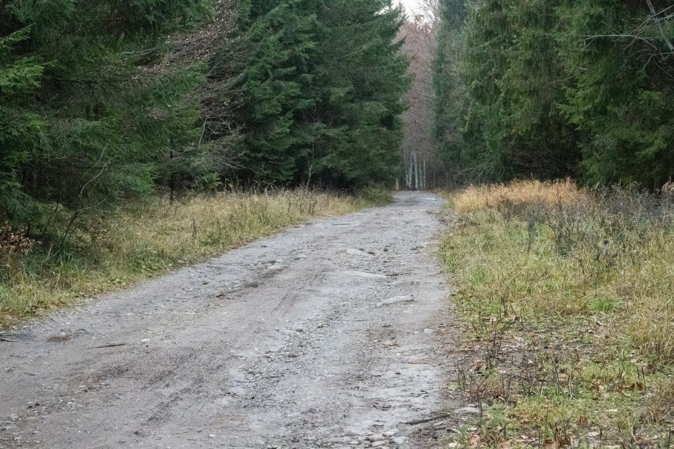 •  Fotó: Borbély Fanni