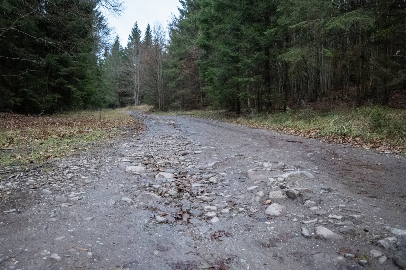 •  Fotó: Borbély Fanni